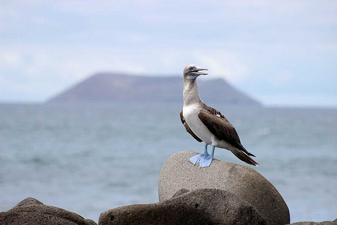 10-days-galapagos-island-hopping