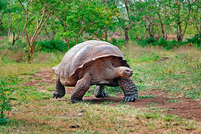 10-days-galapagos-island-hopping