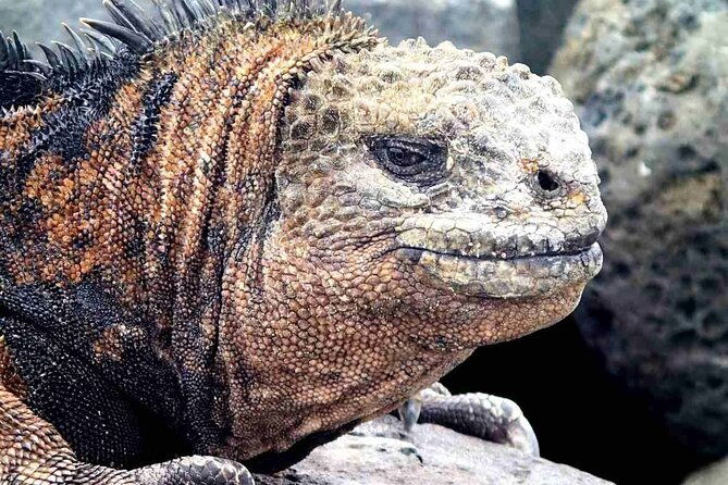 10-days-galapagos-island-hopping