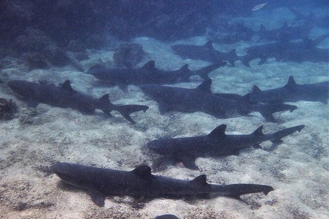 10-days-galapagos-island-hopping