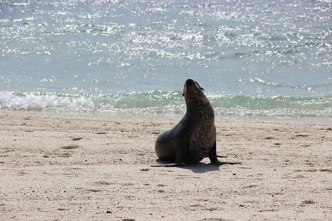 10-days-galapagos-island-hopping-santa-cruz-isabela-island