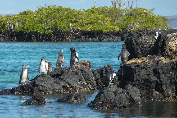 10-days-galapagos-island-hopping-santa-cruz-isabela-island