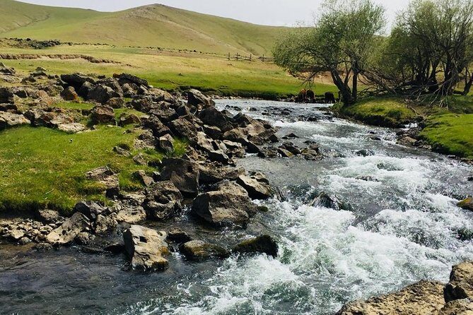 10 Days Gobi Desert and Express Mongolia - FAQ