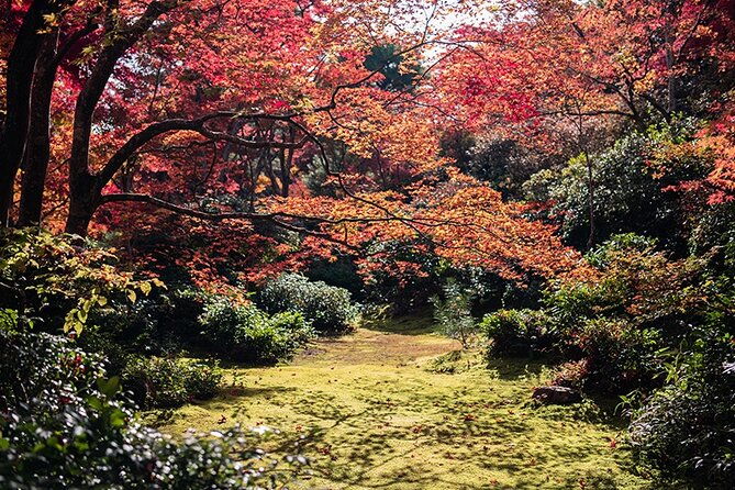10-days-in-depth-discover-japan-deluxe-tour