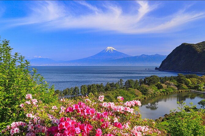 10-days-in-depth-discover-japan-deluxe-tour