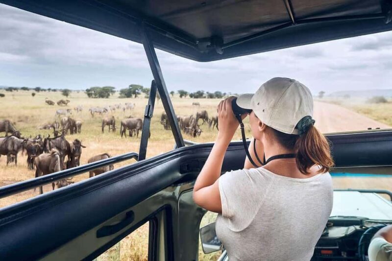 10 Days Kenya and Tanzania Amazing Wildlife Safari - Key Points