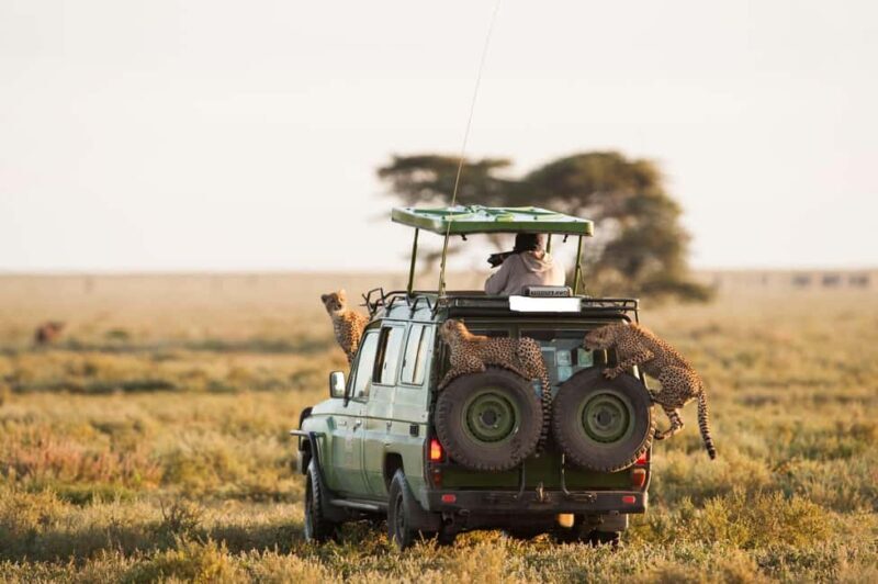 10 Days Kenya and Tanzania Amazing Wildlife Safari - FAQ