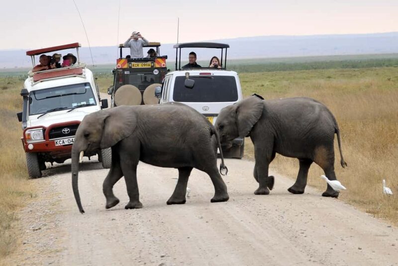 10 Days Kenya Big Five Classic Safari Adventure on 4x4 Jeep - Why This Tour Offers Value