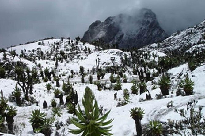 10 Days Mountain Rwenzori Hiking Safari  Mahoma Trail - Who Would Love This Tour?