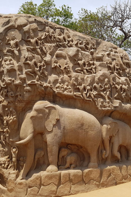 10-days-private-car-and-driver-tour-of-tamilnadu-kerala