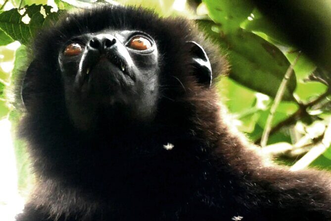 10 Days Private Madagascar Tour - Key Points