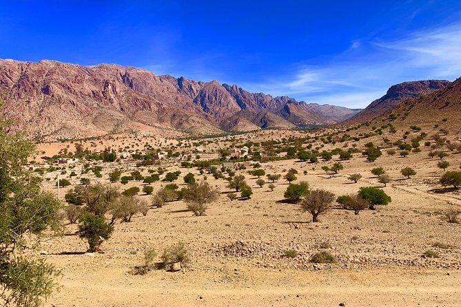 10 Days private Morocco tour from Marrakech - The Full Journey: What to Expect from This 10-Day Moroccan Adventure