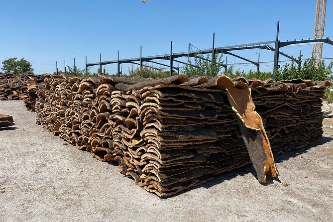 10-days-private-tour-in-portugal