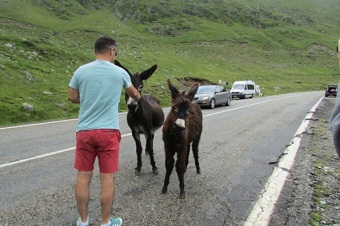 10-days-private-tour-in-romania-from-bucharest