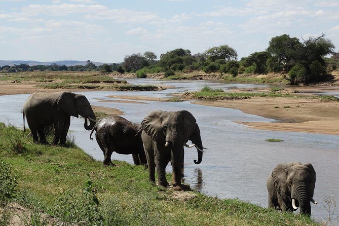 10 days Safari to Nyerere NP, Ruaha NP, Udzungwa NP and Mikumi NP + Isimila Site - Key Points