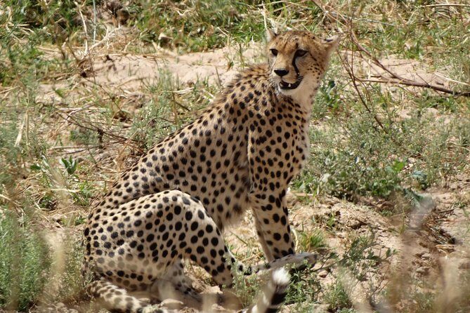 10 days Safari to Nyerere NP, Ruaha NP, Udzungwa NP and Mikumi NP + Isimila Site - Exploring the Itinerary in Depth