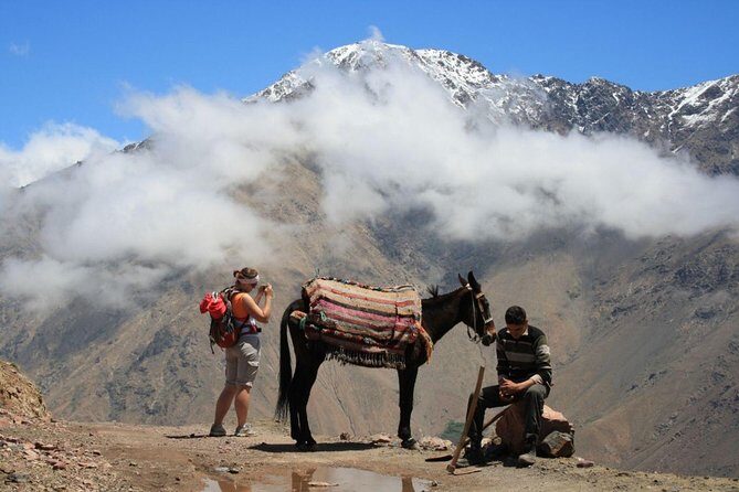 10 days Tour from Casablanca Grand Morocco Tour - Who Will Love This Tour?