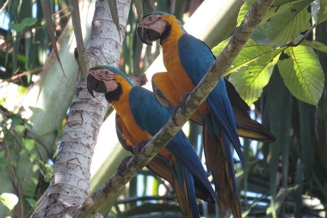 10-days-true-ecuador-experience