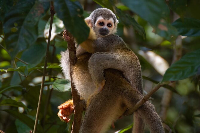10-days-true-ecuador-experience