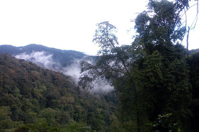 10 Days Uganda Gorilla & Chimpanzee Trekking Safari - Who Should Consider This Safari?