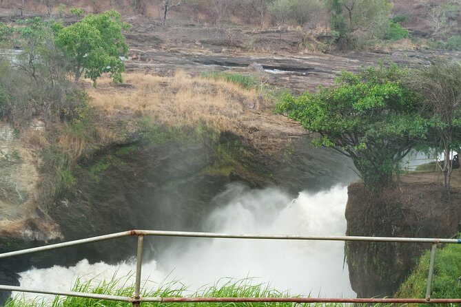10 Days Uganda Gorilla & Chimpanzee Trekking Safari - FAQ