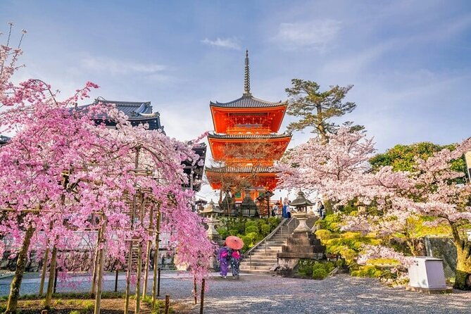 10-hour-private-customizable-tour-to-kyoto-from-osaka