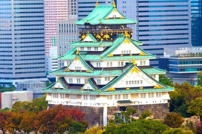 10 Hours Chartered day Tour in Osaka Japan - An In-Depth Look at the 10-Hour Osaka Tour