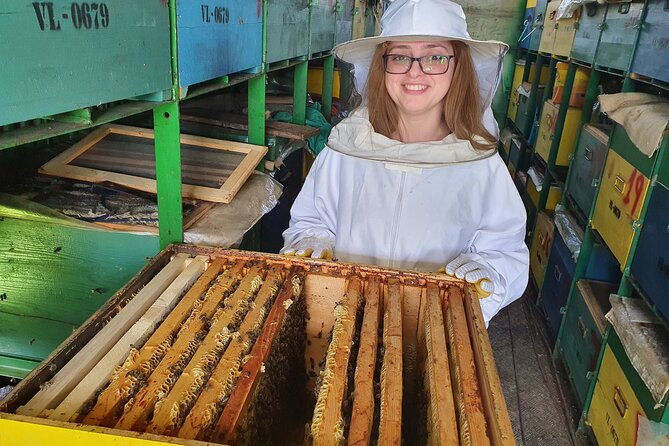 10-hours-private-apiary-tour-in-romania-from-bucharest