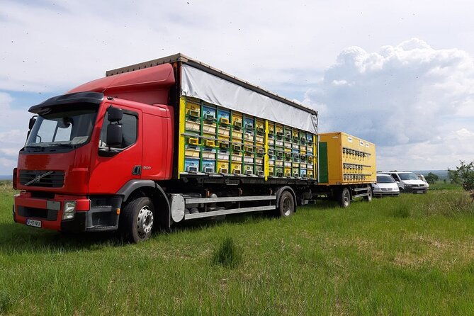 10-hours-private-apiary-tour-in-romania-from-bucharest