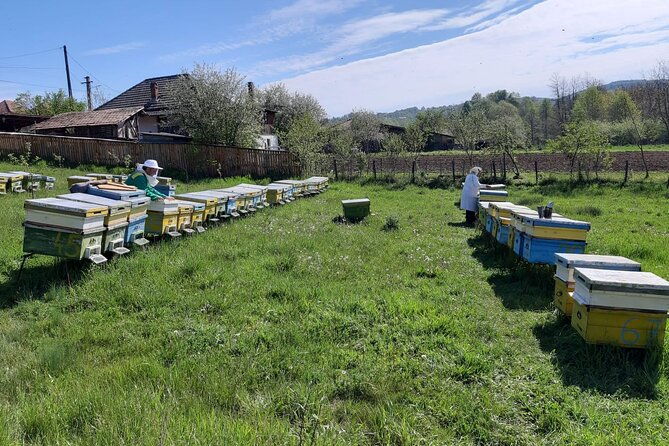 10-hours-private-apiary-tour-in-romania-from-bucharest