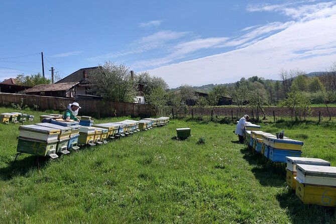 10-hours-private-apiary-tour-in-romania-from-bucharest