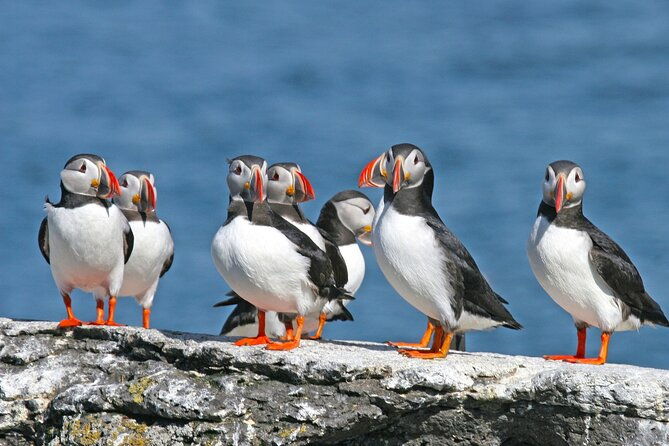 10-hours-private-south-coast-guided-tour