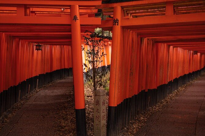 10-must-see-spots-in-kyoto-one-day-private-tour-up-to-7-people