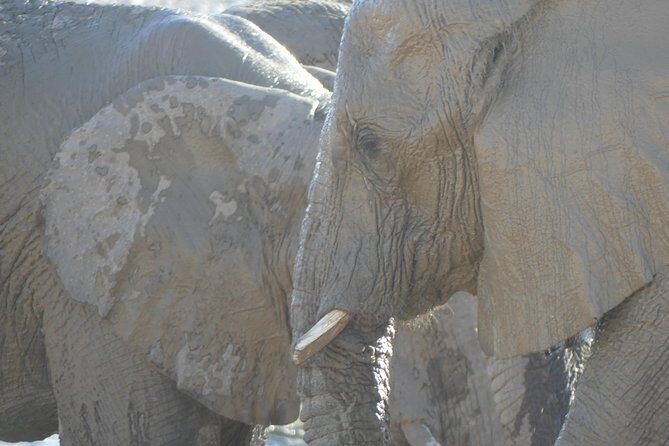 10 Namibia Adventures - An In-Depth Look at the Namibia Adventure Tour