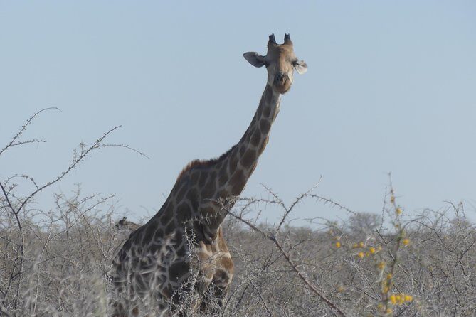 10 Namibia Adventures - Who Is This Tour Best Suited For?