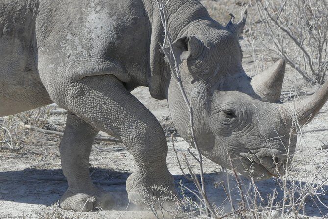 10 Namibia Adventures - FAQs About the Namibia 10-Day Adventure Tour