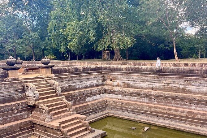 10 Nights 11 Days Sri Lanka, All Inclusive Private Guided Tour - Final Thoughts