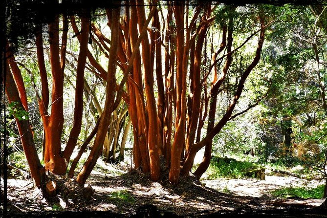 10-secrets-of-bariloche-nahuel-huapi-and-patagonia