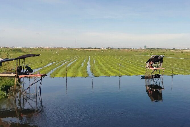 10 Stop Phnom Penh Tour by Tuk-Tuk, includes S21 & Killing Fields - Key Points