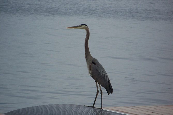 1000-islands-canada-no-passports-required-departing-from-the-us