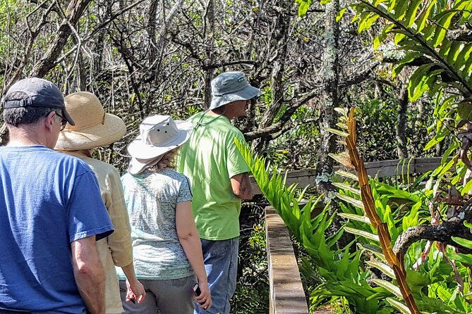 10000-islands-boat-tour-naturalist-led-walk-in-the-everglades
