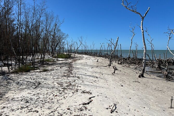 10000-islands-shelling-trip-marco-island-fl