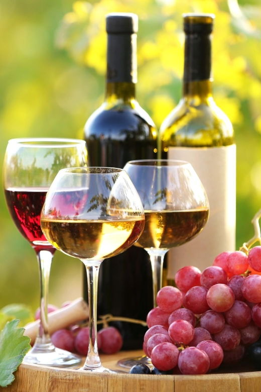 11-course-lunch-wine-tasting-cooking-mastery-in-rhodes