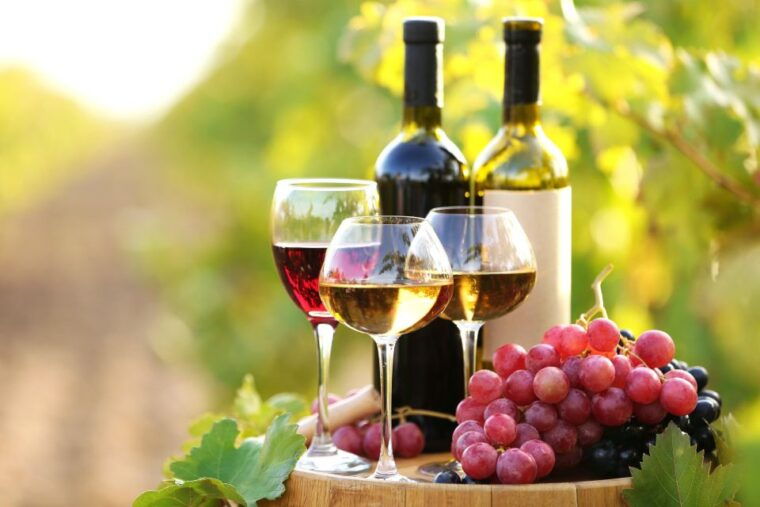 11-course-lunch-wine-tasting-cooking-mastery-in-rhodes