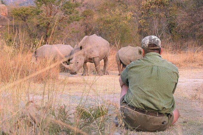 11-Day African Big 5 with Gorilla Trekking Safari in Uganda. - What Travelers Love and Consider