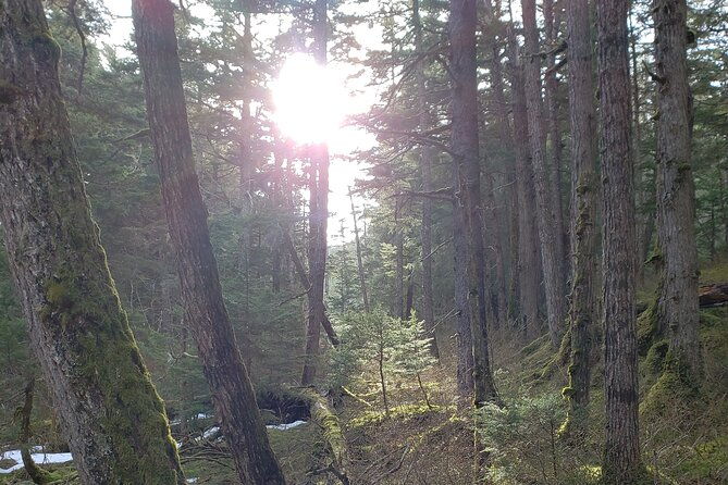 11-day-grand-alaska-highlights-tour