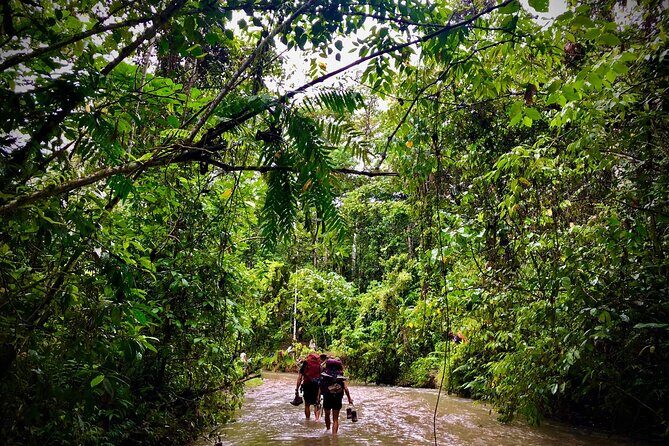 11 Day Kokoda Trek Australian and Local Guides - An In-Depth Look at the 11-Day Kokoda Trek Experience