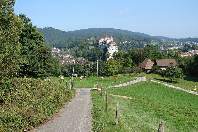 11-day-private-lite-tour-across-switzerland-by-bike-from-geneve