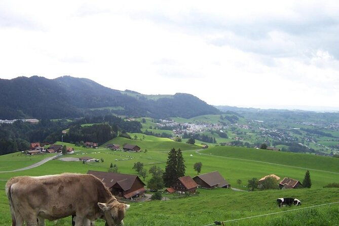 11-day-private-lite-tour-across-switzerland-by-bike-from-geneve