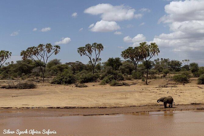 11-Day Serengeti, Maasai Mara, Tarangire, Amboseli Park - Ngorongoro Crater & Olduvai Gorge  
